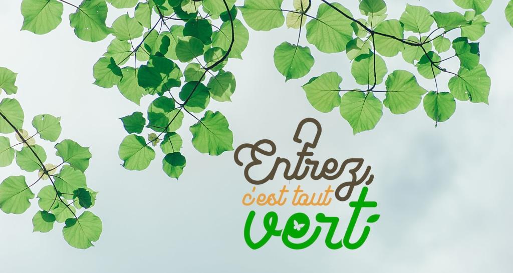 Entrez, c'est tout vert