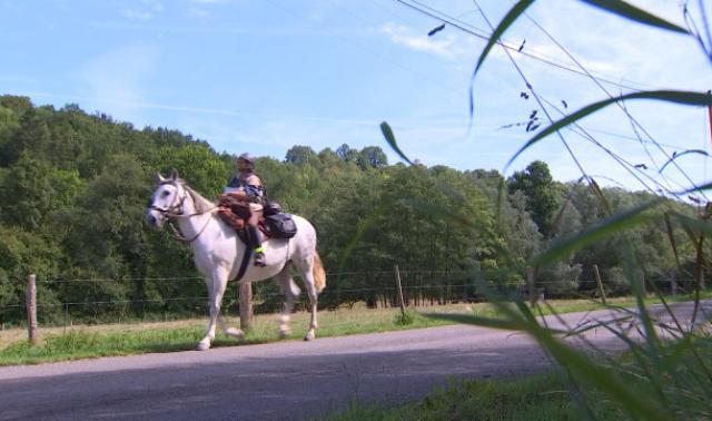 150 km à cheval en 5 jours: objectif Equirencontre