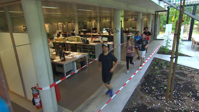 1542 participants au Jogging ELA 2019 !