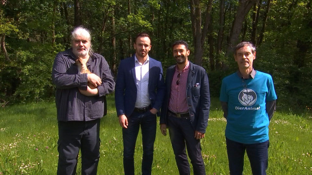 DierAnimal: nouveau venu sur la scène politique