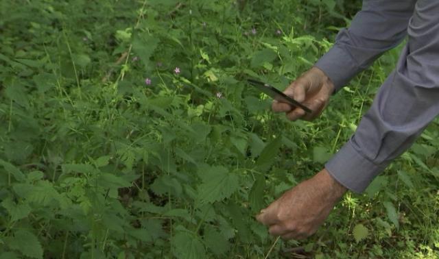 BioBlitz à Waremme : 24h00 pour la biodiversité