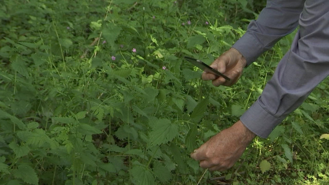 BioBlitz à Waremme : 24h00 pour la biodiversité