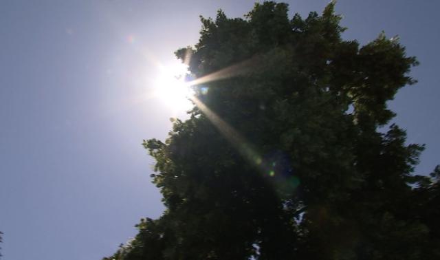 Quand il fait chaud... on s'adapte !