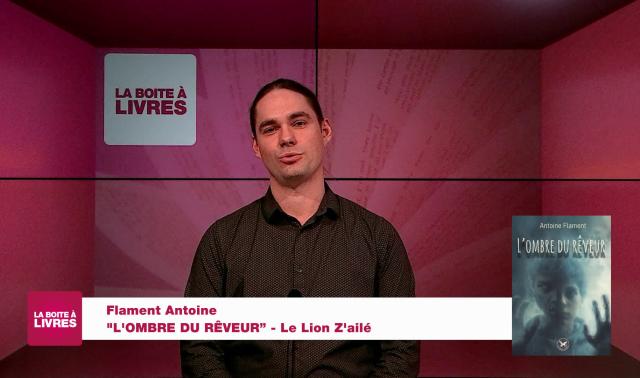 La Boîte à livres: L'ombre du rêveur