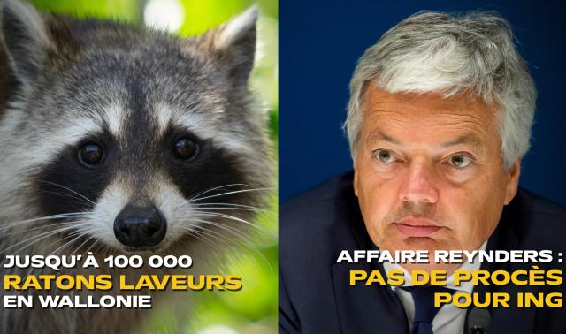 Les actus de la semaine en province de Liège