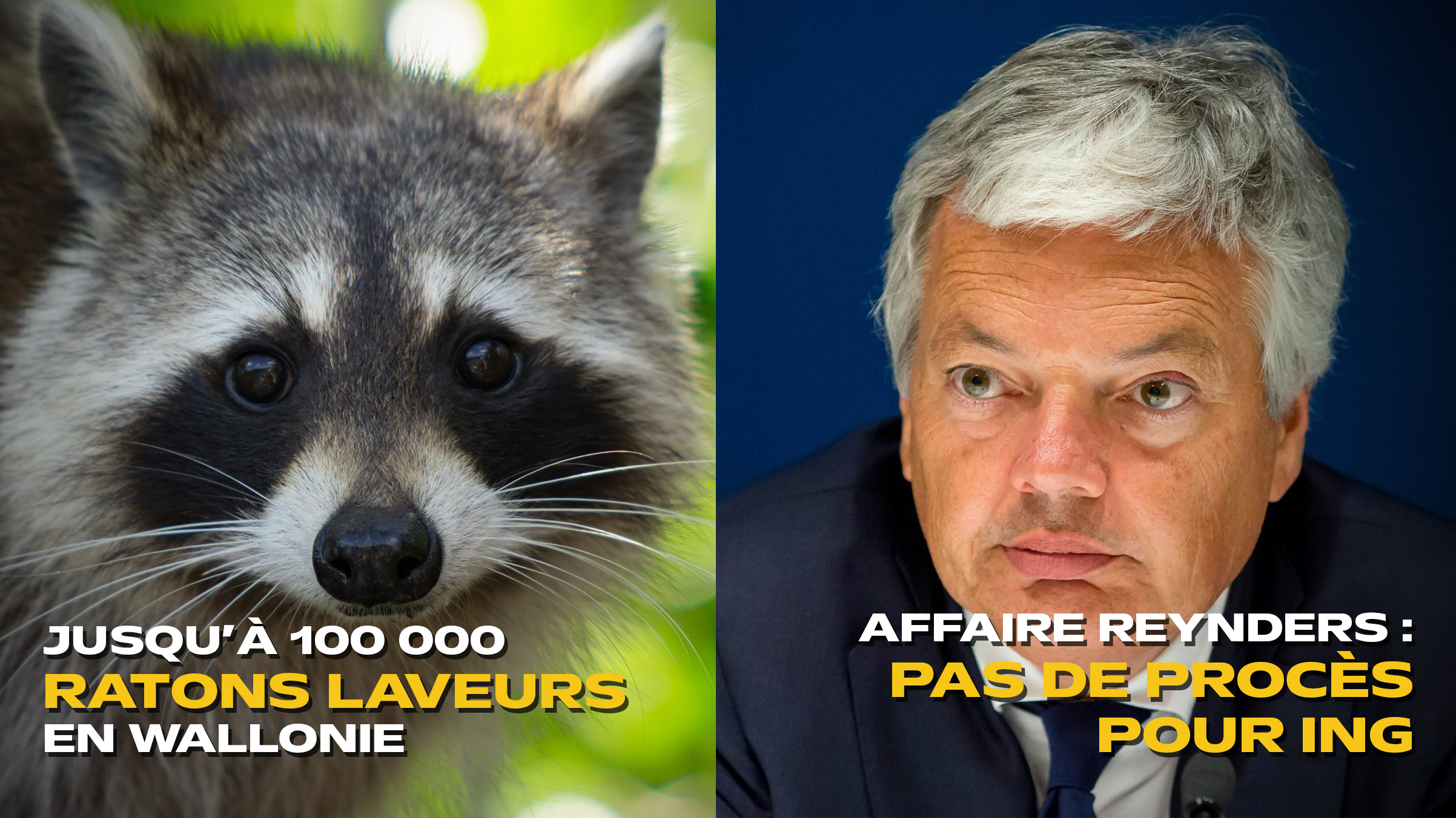 Les actus de la semaine en province de Liège