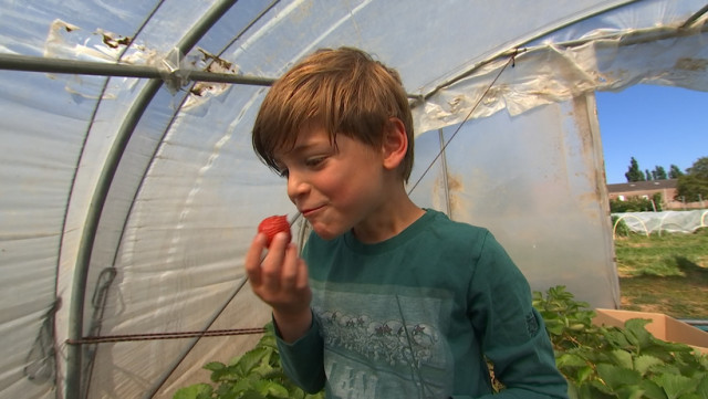 Agriculture : le circuit-court à la cote !