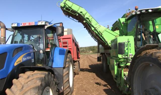 Agriculture: Une sécheresse extrême qui préoccupe