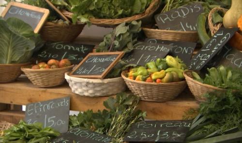 Alimentation saine pour tous
