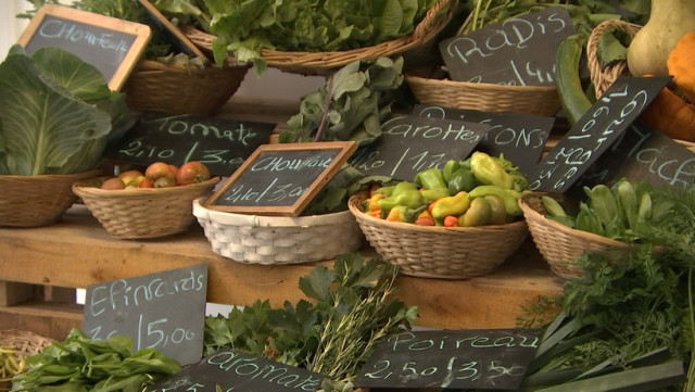 Alimentation saine pour tous