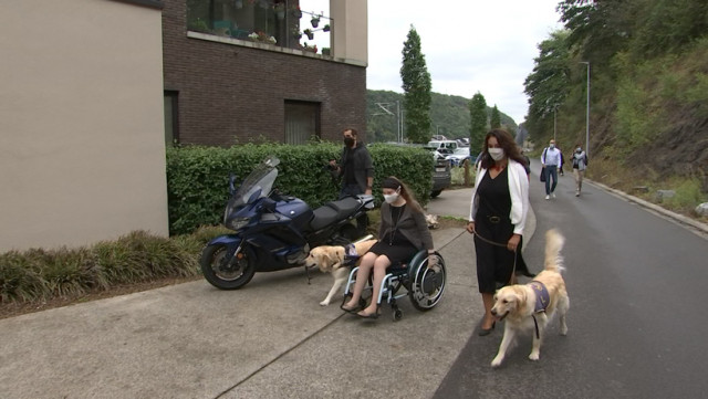 Chiens d'assistance bienvenus en Wallonie.