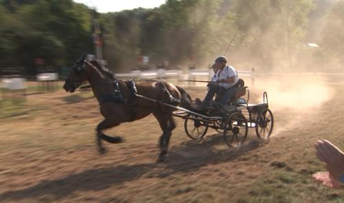 Concours d'attelage d'Aywaille : une 7ème édition inédite et prometteuse