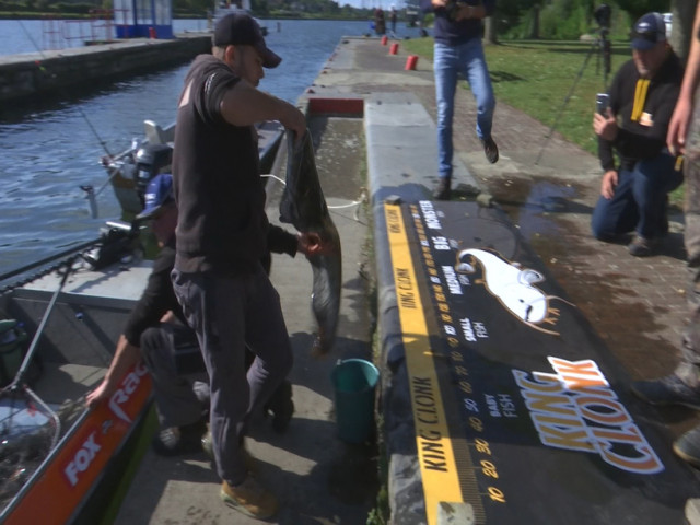 Concours de pêche au silure: cela se joue au centimètre près!