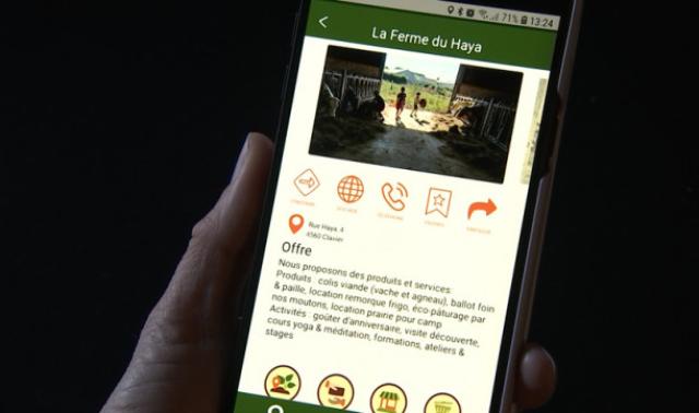 Connaître les bons plans locaux avec Lowco