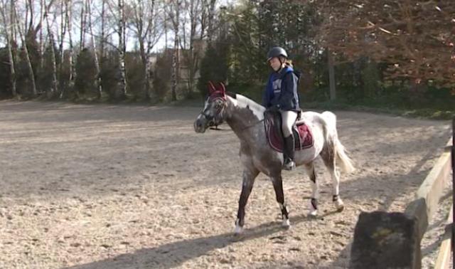 Covid 19: Pas de confinement pour les chevaux