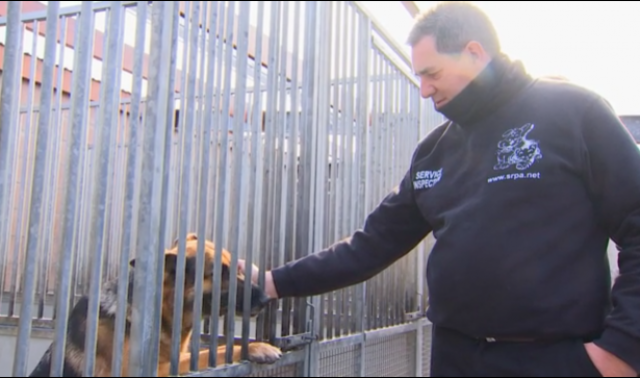 Covid-19 : Pas de transmission entre l'homme et l'animal