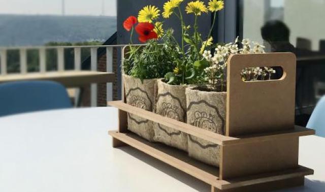 Des plantes pour sauver les abeilles