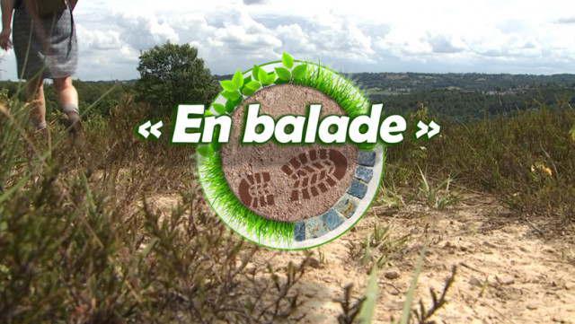 En balade : Saint-Jean-Sart en Pays de Herve