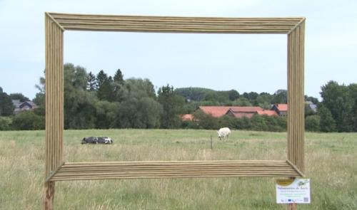 Encadrement en saule pour paysages hesbignons