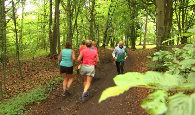Endurance et sens de l'orientation