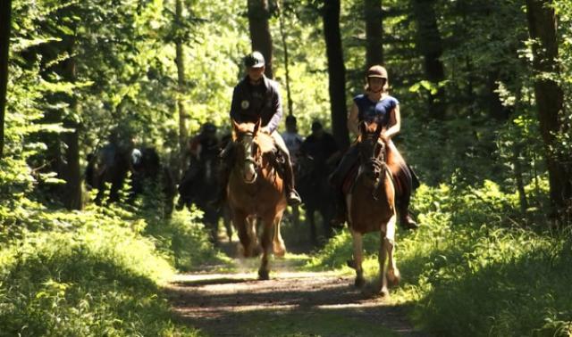 Equi Libre: balade à Aywaille