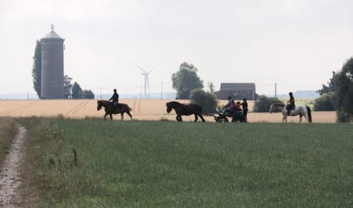 Equi Libre: Balade à Burdinne