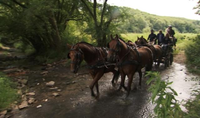 Equi Libre: balade dans le Condroz