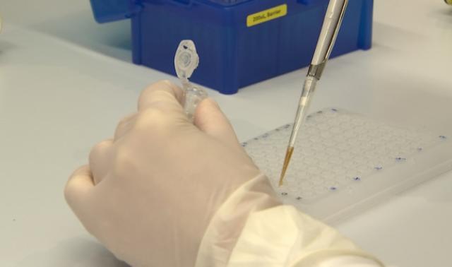 Évolution du virus: premiers résultats du séquençage liégeois