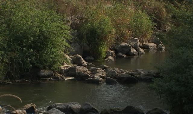 Hannut veut restaurer la flore sur le bord de la Mehaigne