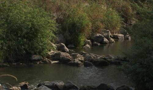 Hannut veut restaurer la flore sur le bord de la Mehaigne