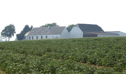 La superficie agricole bio recule légèrement, mais le consommateur wallon reste fidèle