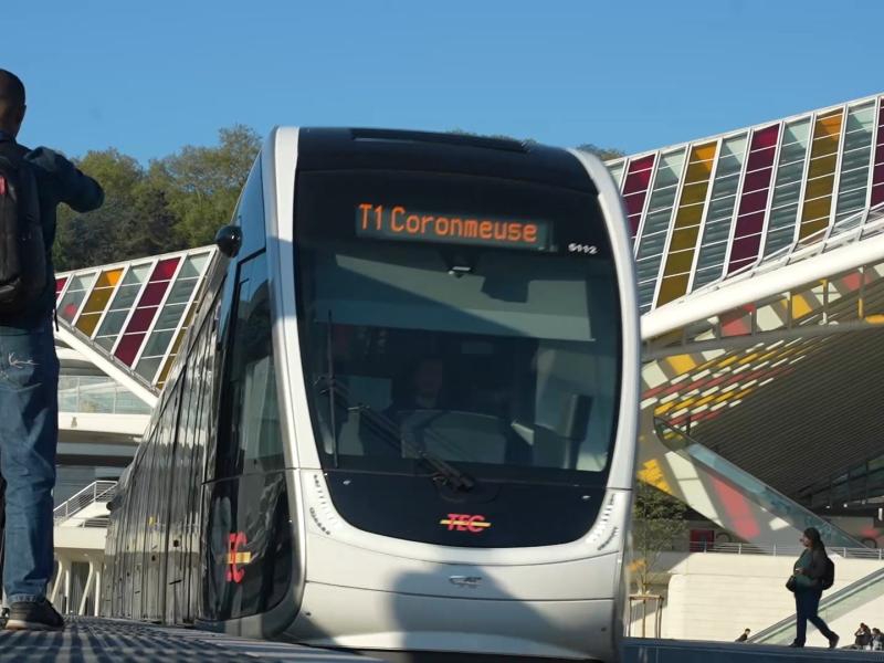 Ligne aérienne arrachée : une partie de la ligne du tram à l'arrêt