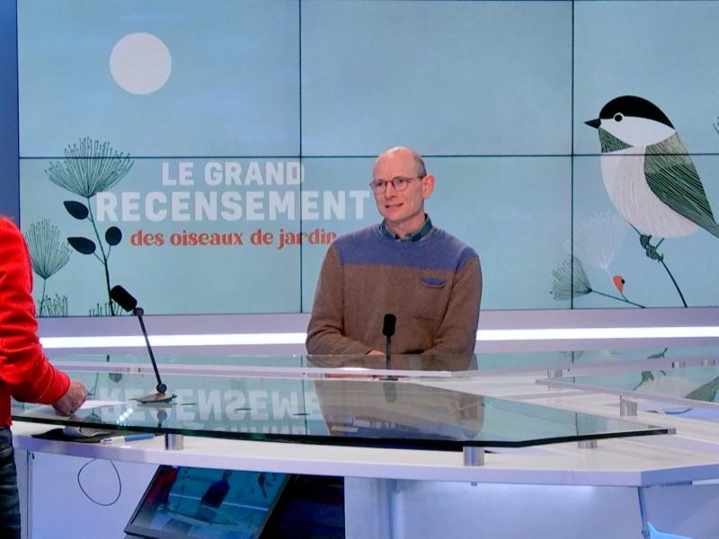 Comptez les oiseaux dans votre jardin avec Natagora