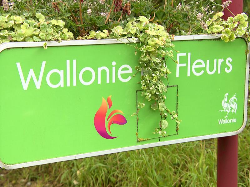 Label Wallonie en Fleurs 2025 : 4 communes liégeoises récompensées