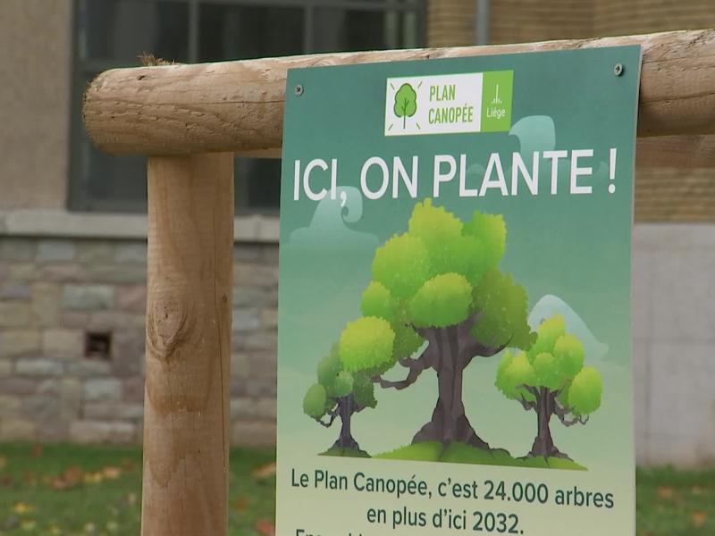 Plan Canopée : Plantation du 5 000e arbre dans l'espace public