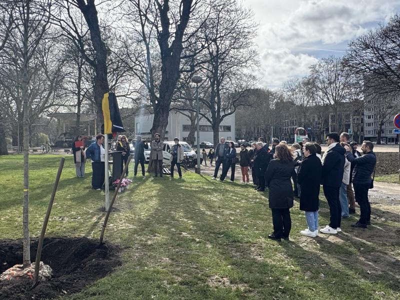 Inauguration d'un arbre pour le don d'organes