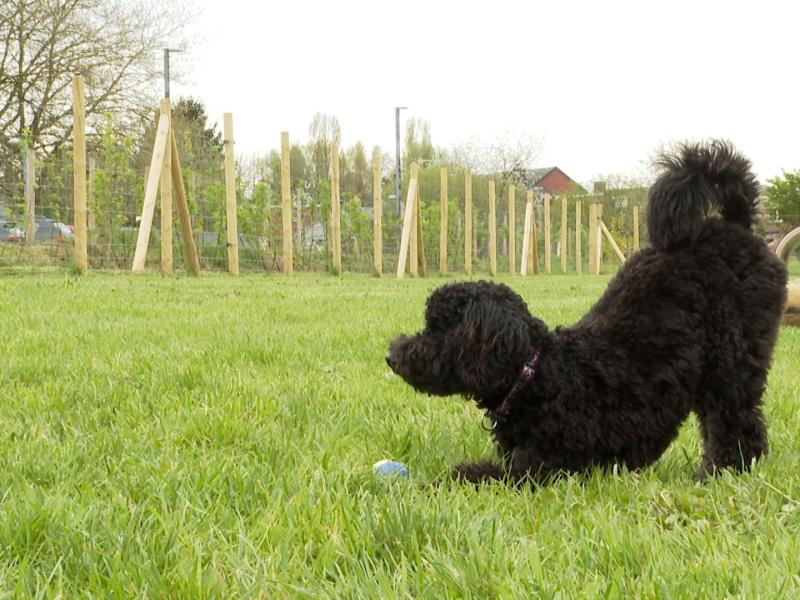 Nouveau parc canin à Retinne