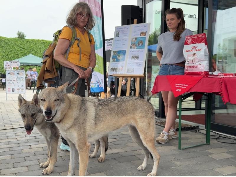 Grand succès pour la 2e édition du Dog Day de Crisnée