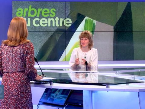 "Arbres au centre" un projet collectif et poétique au coeur de Liège 