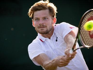 Tennis : David Goffin se qualifie pour les quarts à San Marin 