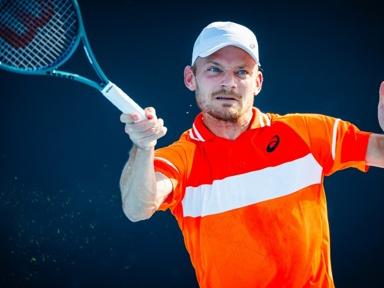 Coupe Davis : David Goffin décline finalement sa sélection 