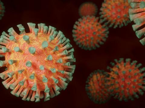 Coronavirus : la province de Liège en phase d'alerte 4