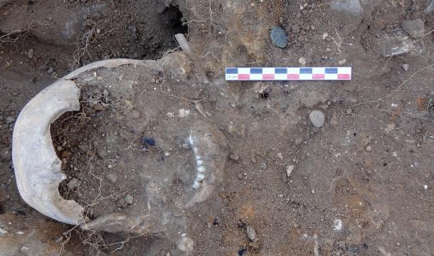 Des ossements d'enfant découverts au château de Moha