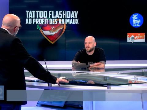 Evénement : un tattoo pour aider les refuges pour animaux