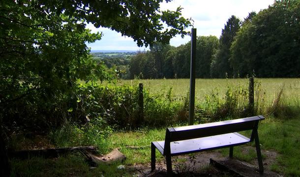 Fléron veut protéger à vie le petit bois des Grimonprés
