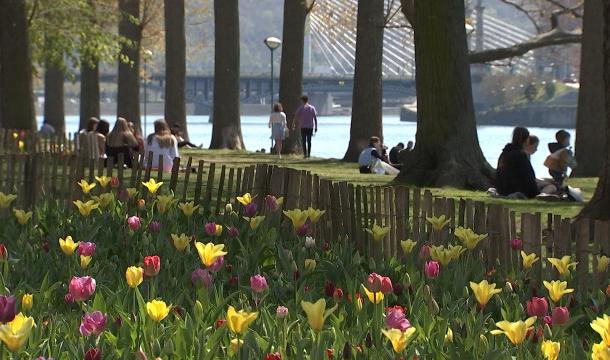 Parcs de la Boverie et du Jardin Botanique : fin des fermetures nocturnes