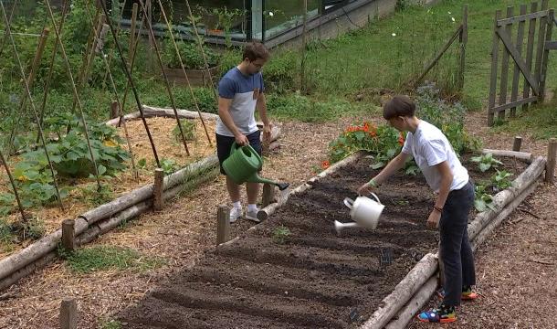 Pot'ingé : le potager universitaire collectif et connecté 