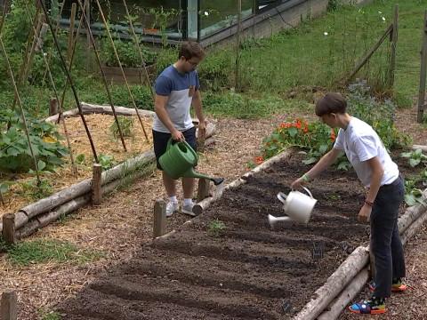 Pot'ingé : le potager universitaire collectif et connecté 