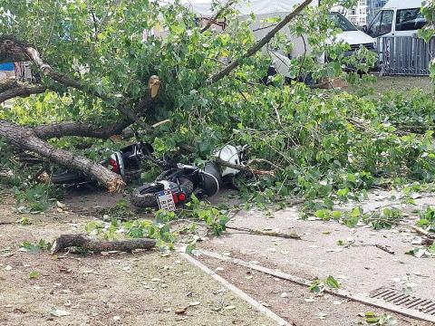 Retrouvailles : une branche tombe sur un stand et fait deux blessées