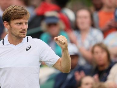 Tennis : David Goffin redevient numéro 1 belge 